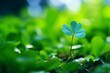 Lucky clover leaf on festive bokeh background for st. Patricks day celebration with copy space