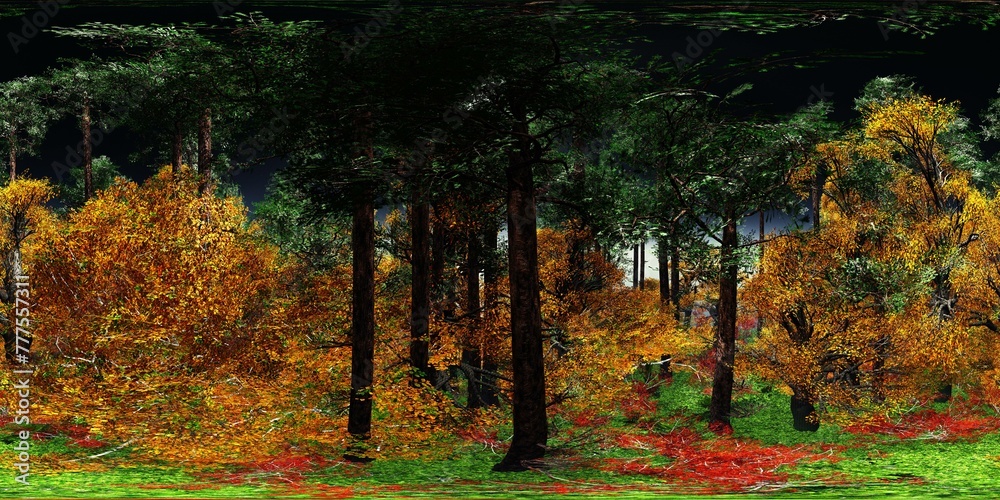 Trees in the fog. Environment map. HDRI map. equidistant projection ...