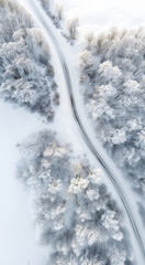 Poster - /imagine Aerial photo of a snow scene with a curve road from a top-down perspective.