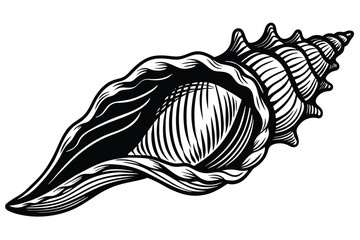 Wall Mural - black and white conch vector