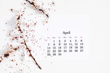 Fototapeta Kosmos - Flat lay, top view of paper desk calendar for April 2024, blooming tree branches with white flowers on isolated white background.
