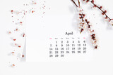 Fototapeta Tulipany - Flat lay, top view of paper desk calendar for April 2024, blooming tree branches with white flowers on isolated white background.