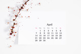 Fototapeta Kwiaty - Flat lay, top view of paper desk calendar for April 2024, blooming tree branches with white flowers on isolated white background.