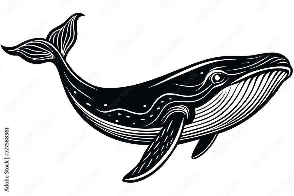 black whale vector isolated on white Stock Vector | Adobe Stock