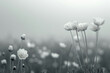 Ethereal Monochrome Wildflowers in Misty Field