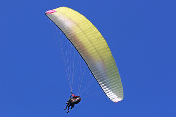 Poster - Tandem Paraglider flying in a blue sky	