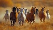 Group of Horses Running in Field