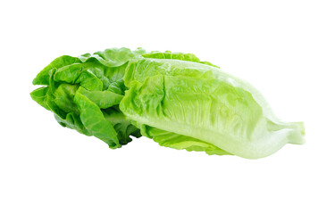 Wall Mural - fresh baby cos (lettuce) transparent png
