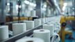 Rolls of freshly prepared toilet paper slide along a conveyor belt guided by precision technology