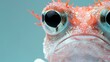   A tight shot of a fish's bulbous eyes, adorned with water droplets, against a serene blue background