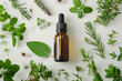 A bottle of essential oil is surrounded by various herbs and plants