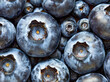 view from top Closeup of many isolated freshly picked blueberries texture