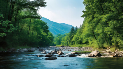 Wall Mural - river in the forest.