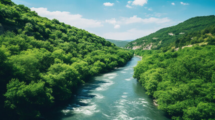 Wall Mural - river in the forest.