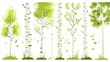 Peaceful Birch Forest Illustration Generative AI