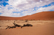 Dead trees in the sand pan of Deadvlei in the Sosusvlei area in the Namib desert
