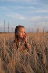 Wall Mural - Cute little girl in field at sunset	