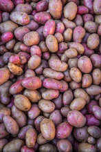 Baby Potatoes Ready To Be Roasted