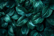 A close up of green leaves with a mood of serenity and calmness