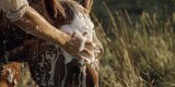 woman washes horse Generative AI
