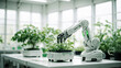 Growing and studying plants by robot in laboratory. Science, environment, bioengineering and biotechnology innovation. Agriculture technology of the future.