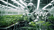 Growing and studying plants by robot in laboratory greenhouse. Science, environment, bioengineering and biotechnology innovation. Agriculture technology of the future.