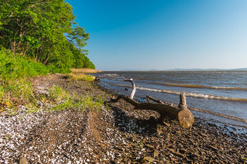 Poster - Seashore with a shallow bottom on a clear day. Summer sunny day on the seashore.