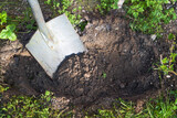 Fototapeta Tulipany - Digging a plant hole in the ground with a spade, brown sandy soil and some weeds around, gardening concept, copy space, copy space, selected focus