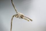 Fototapeta Tulipany - Two ropes are tied together in a knot, business concept for teamwork and cooperation, gray background, copy space