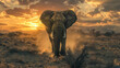 Majestic elephant at sunset in savannah