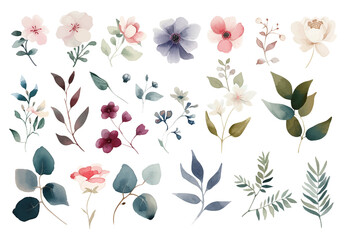 Wall Mural - vector floral set. colorful floral collection with leaves and flowers,drawing watercolor. beautiful 