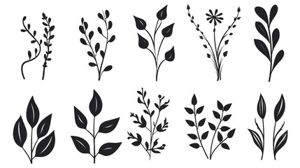 This elegant collection of hand-drawn botanical elements includes various types of leaves, flowers and plants in detailed