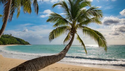 Wall Mural - Generated image of palm tree on the coast