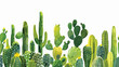 Cactus painting as a vector image flat vector isolated