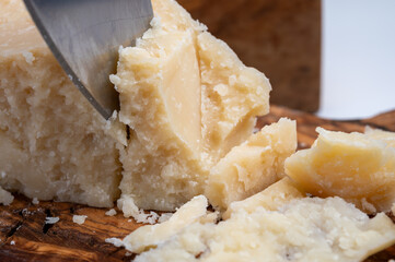 Wall Mural - Traditional italian food - 22 months aged in caves Italian parmesan hard cheese from Parmigiano-Reggiano, Italy