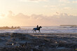 朝焼けの海岸で乗馬する人