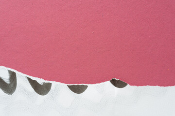 Wall Mural - background with torn paper and thick lines on pink 