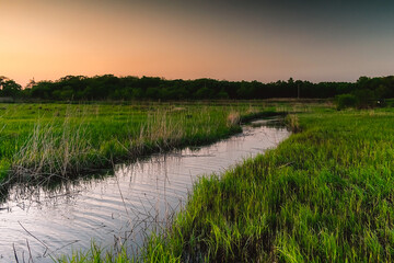 Wall Mural - A small picturesque river among a green meadow during sunset. Small river in the countryside. Feeling of freedom, happiness, nostalgia. Tavrichanka, Primorsky Krai, Russia