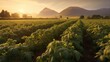 scotland- potato field at summer sunset, AI generated