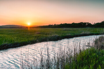 Wall Mural - A small picturesque river among a green meadow during sunset. Small river in the countryside. Feeling of freedom, happiness, nostalgia. Tavrichanka, Primorsky Krai, Russia