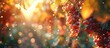 Ripening Grapes Bask in Suns Warm Embrace A Vineyard Bokeh Blurstyle Scene
