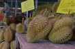 Durian is a popular and expensive fruit.