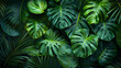 Group background of dark green tropical leaves ( monstera, palm, coconut leaf, fern, palm leaf,bananaleaf) Panorama background. concept of nature.