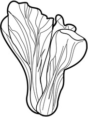 Wall Mural - vegetable bok choy  outline illustration