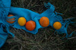 © Volia Bigel/Stocksy - The oranges and the lemons on the blue scarf