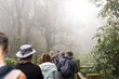 © Alvaro Lavin/Stocksy - Group of people hiking in nature.