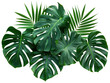 A bunch of green leaves with one leaf having a hole in it, cut out - stock png.