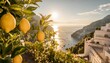 lemons growing in a sunny garden on amalfi coast in italy