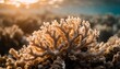 coral reef macro texture abstract marine ecosystem background on a coral reef