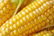 Close-up view of fresh, yellow corn on the cob, showcasing its sweet kernels and vibrant texture